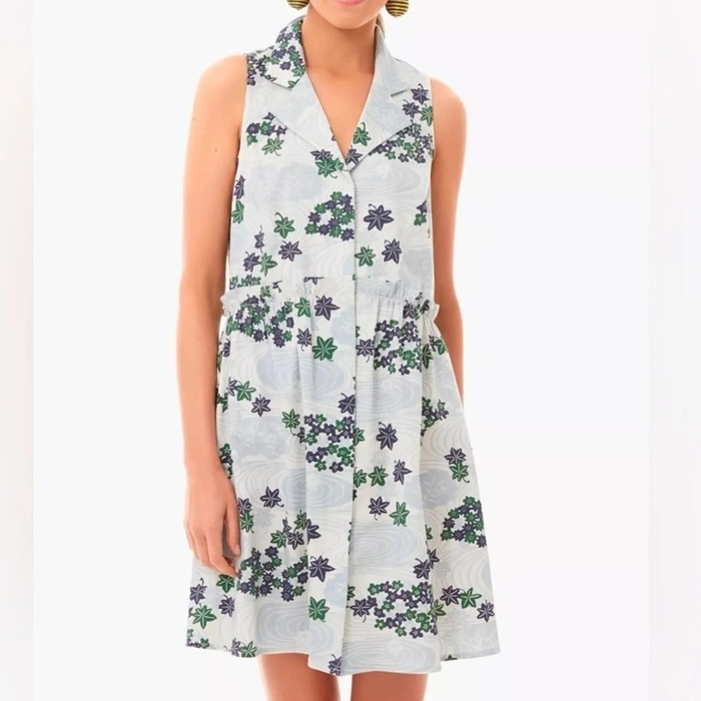 NWT Tuckernuck Dress - Small